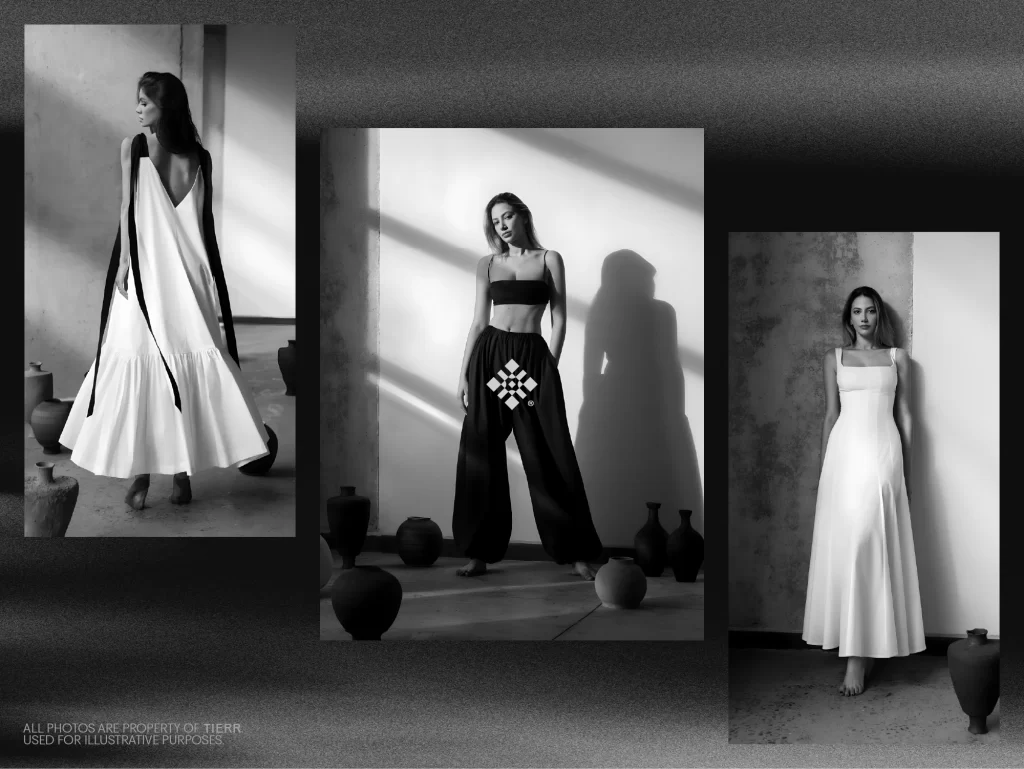 Tierr brand identity designed by BoldCrest marketing agency in albania